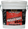 Muscle Juice Gainer 4750 g
