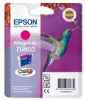 RNILO EPSON B-M STYLUS PHOTO (C13T08034010)