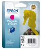 RNILO EPSON B-M STY PHOTO R20 (C13T04834010)