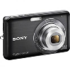 SONY DSC-W310B