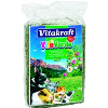 Seno VK Vita Verde za glodalce 1kg (13425042)
